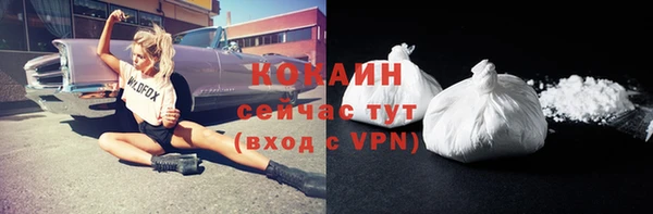 СК Вяземский