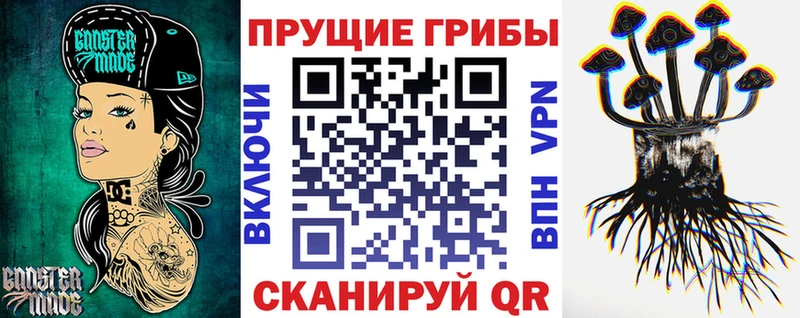 Псилоцибиновые грибы Cubensis  как найти закладки  Пятигорск 